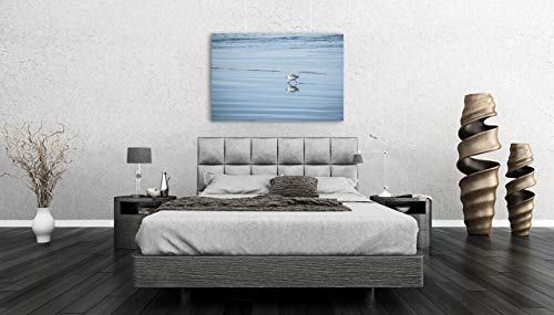 Siva i bijela ptica na plaži fotografija na platnu Obalni zid Umjetnost minimalistički plavi Kućni dekor Sandpiper Shorebird Photo slika prirode spremna za vješanje