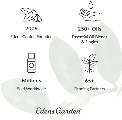 Edens Garden Energy Boost Esencijalna sinergija ulja, čist terapijski razred 10 ml