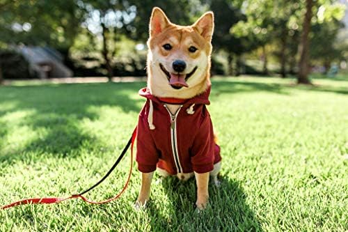 Avantura zatvarač up maroon crveni pas sa džepovima kuke i petlje i podesivom kapuljačom za izvlačenje - dostupno je u dodatnom malom