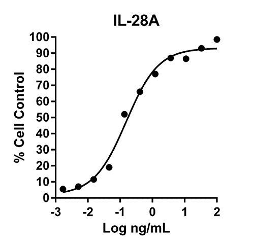 Humankin rekombinantni humani IL-28a 10UG