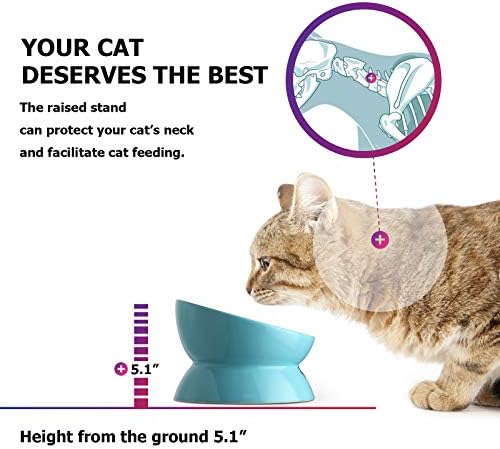 Y Yhy CAT luk za hranu velike, podignute posude za mačke protiv povraćanja, 7 inčna nagnuta povišena posuda za mačku, posuda za kućne