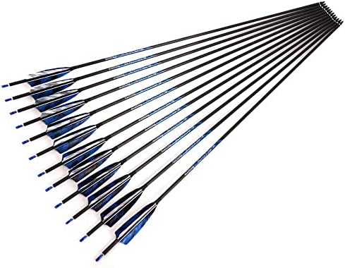 400-Strela kičme 24-inčna Vježba gađanja strijelom lov na strijelu karbonske strijele složeni luk Recurve luk za odrasle streličarstvo