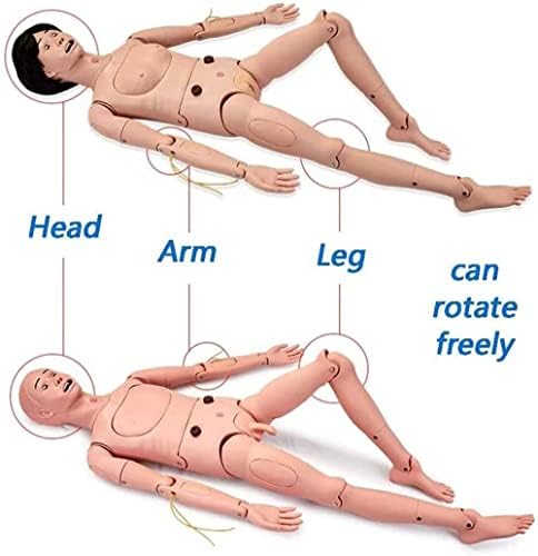 Kennix Care Pacijent Manikin PVC trening simulator za životnu veličinu obrazovanja Model nastavnog modela sa Exchange Genitalia