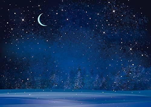 Noćno nebo fotografija pozadina Zimska noć snježne padavine pahuljica mjesec mutne jelke borova šuma fotografija pozadina za Baby