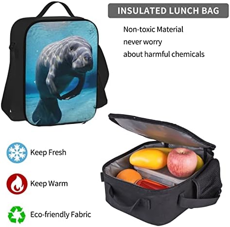 OGNOT slatka morska životinja Manatee štampanje školski ruksak Tinejdžeri djevojčice dječaci školske torbe torba sa torbom za ručak