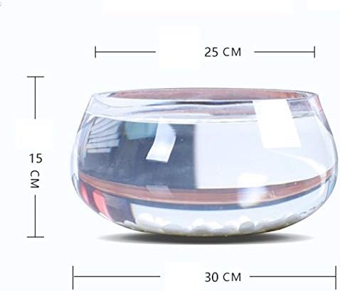 TJLSS okrugli prozirni stakleni ukrasi za akvarijum stol za kornjače rezervoar za domaćinstvo dnevna soba Hidroponsko zgušnjavanje
