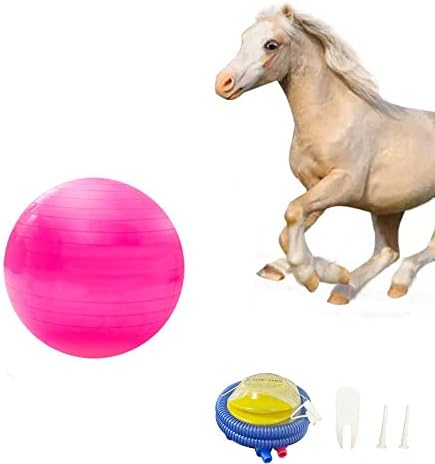 Igračka za trening konja, velike kuglične konjske igračke, anti-rapkorna konja vježba kuglasta igračka sa pumpom za naduvavanje za