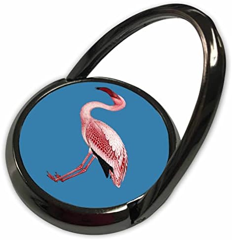 3drose ružičasta flamingo izolirana vektor umjetnosti na plavom - telefonski prstenovi