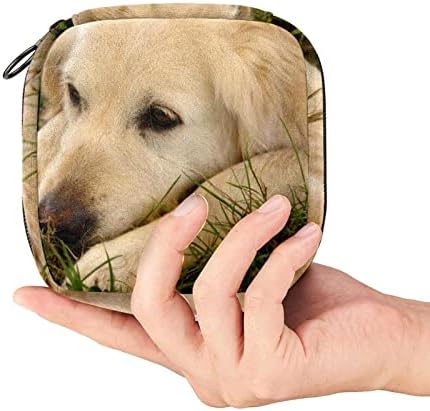 Torba za pas uzorak, vrećica za pohranu sanitarne ubrus, prijenosne vrećice za teen djevojke period male torbice za torbu za ženstvene proizvode