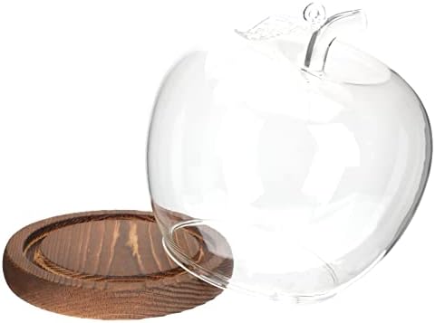 Houtioutil Clear Glass Cloche Globe Display Dome sa drvenim osnovnim staklenim cvijećem Cloche Bell Jar Dome Dekorativni izlog za