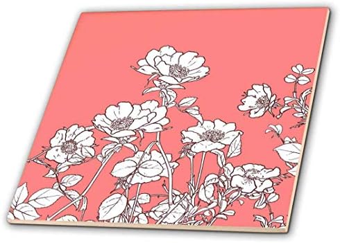 3drose crtež lijepe divlje ruže u sepiji i bijeloj ružičastoj pozadini-keramička pločica, 4-inč