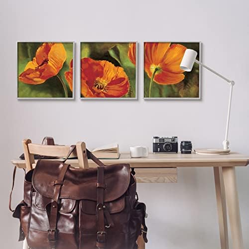 Stupell Industries Wild Mak Blooms cvjetna bašta 3kom uokvirena Giclee Art Set, dizajn Pierre Viollet