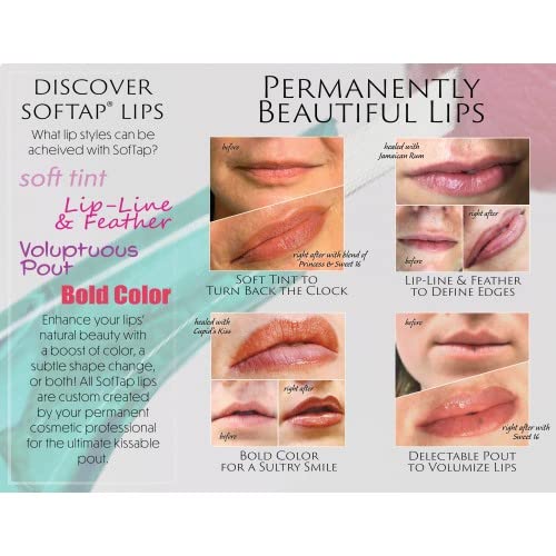 Brošura o trajnoj šminki sa informacijama o PMU za olovku za oči, obrvu, usne, Areolu, metodu ruku, Aftercare by SoftAP )